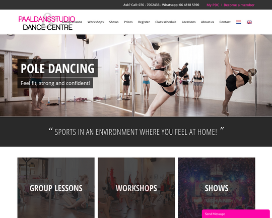 Paaldansstudio Logo