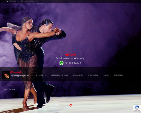 Wensink Dance Masters Logo